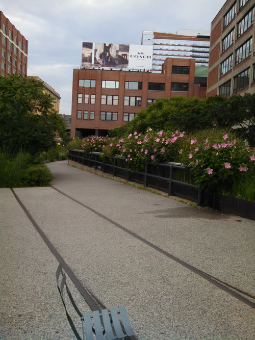 highline_flowers