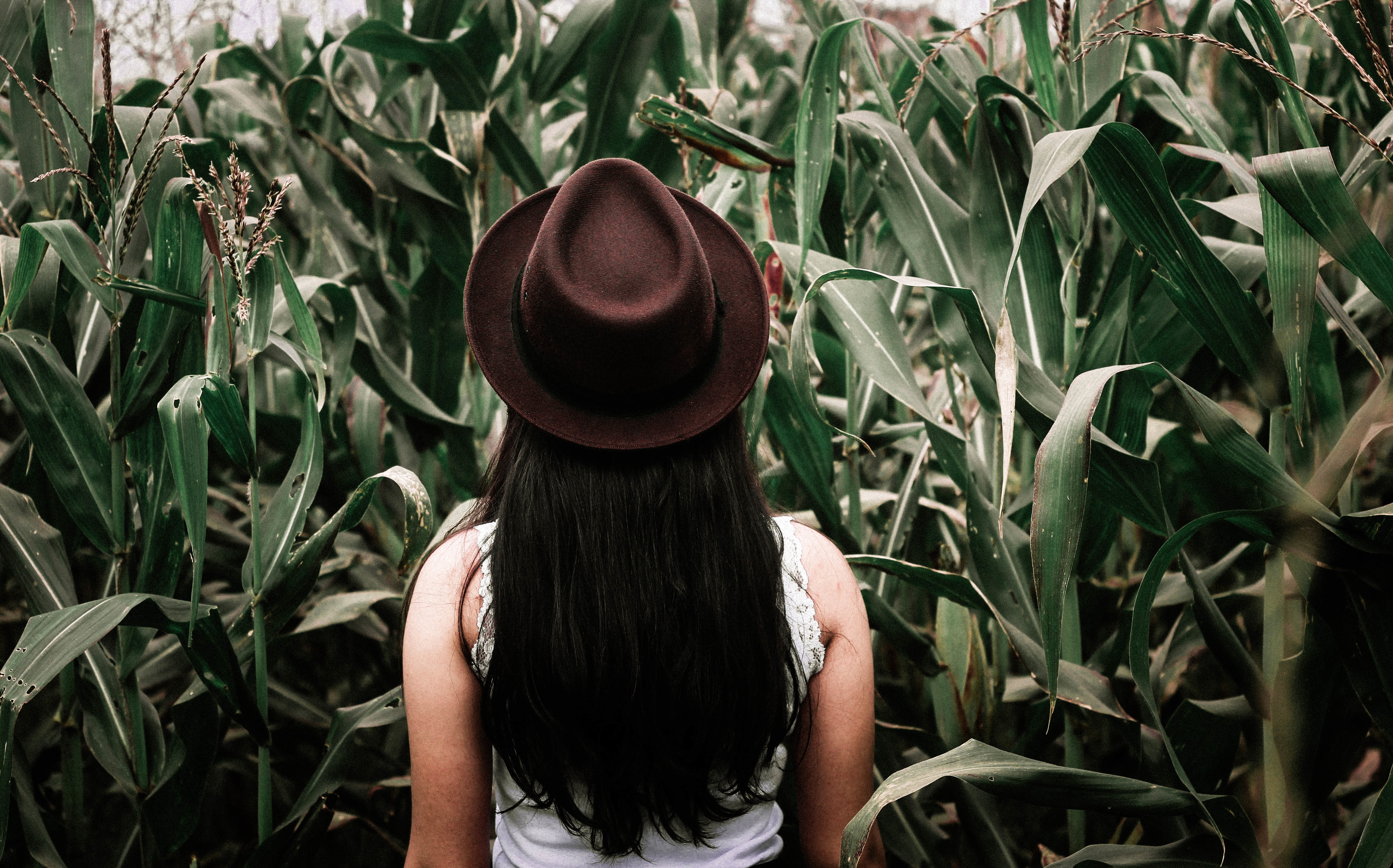 woman in corn maze