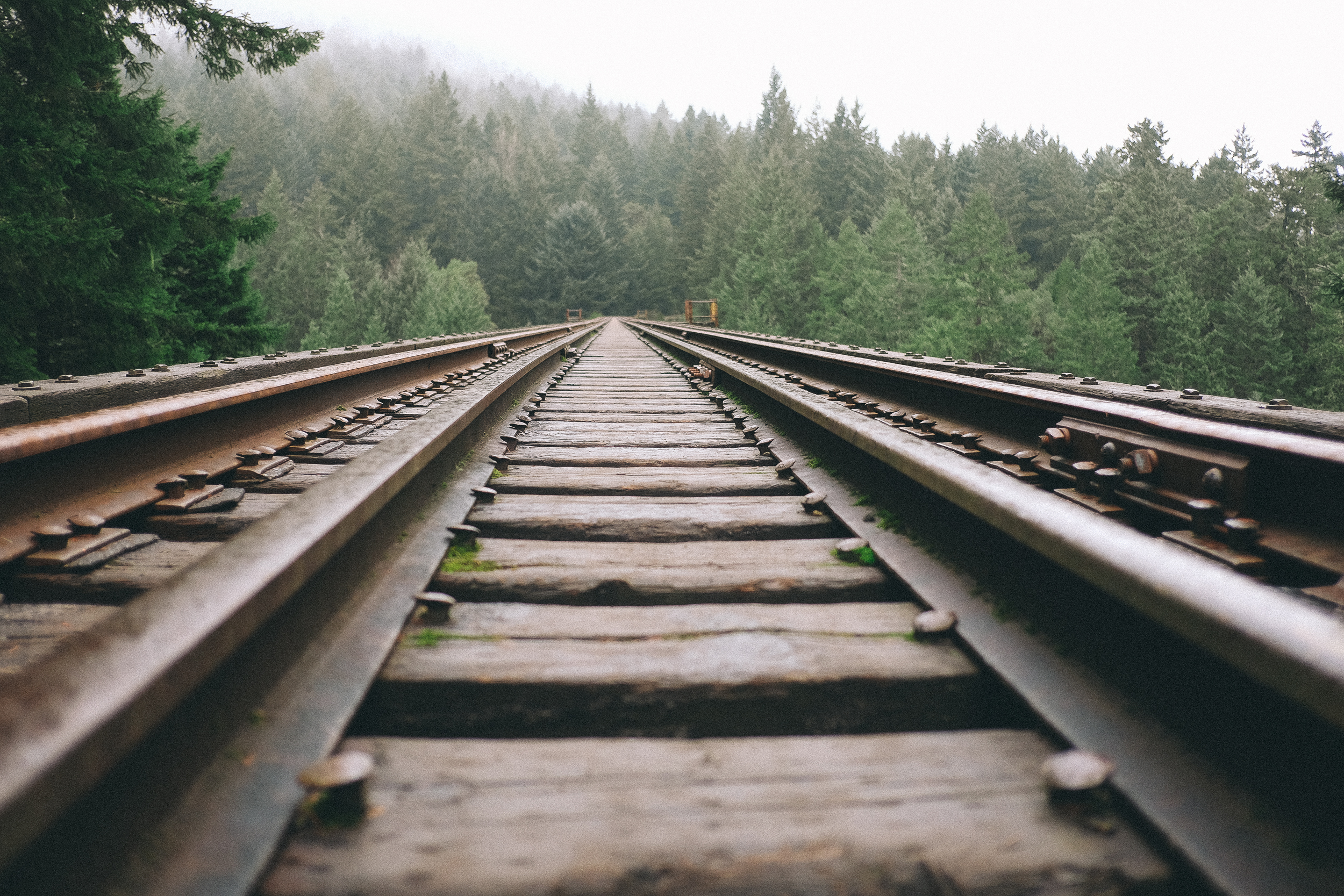 railroad tracks stretching into oblivion